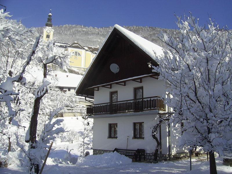 Private Apartments Bohinj Ribčev Laz Zewnętrze zdjęcie